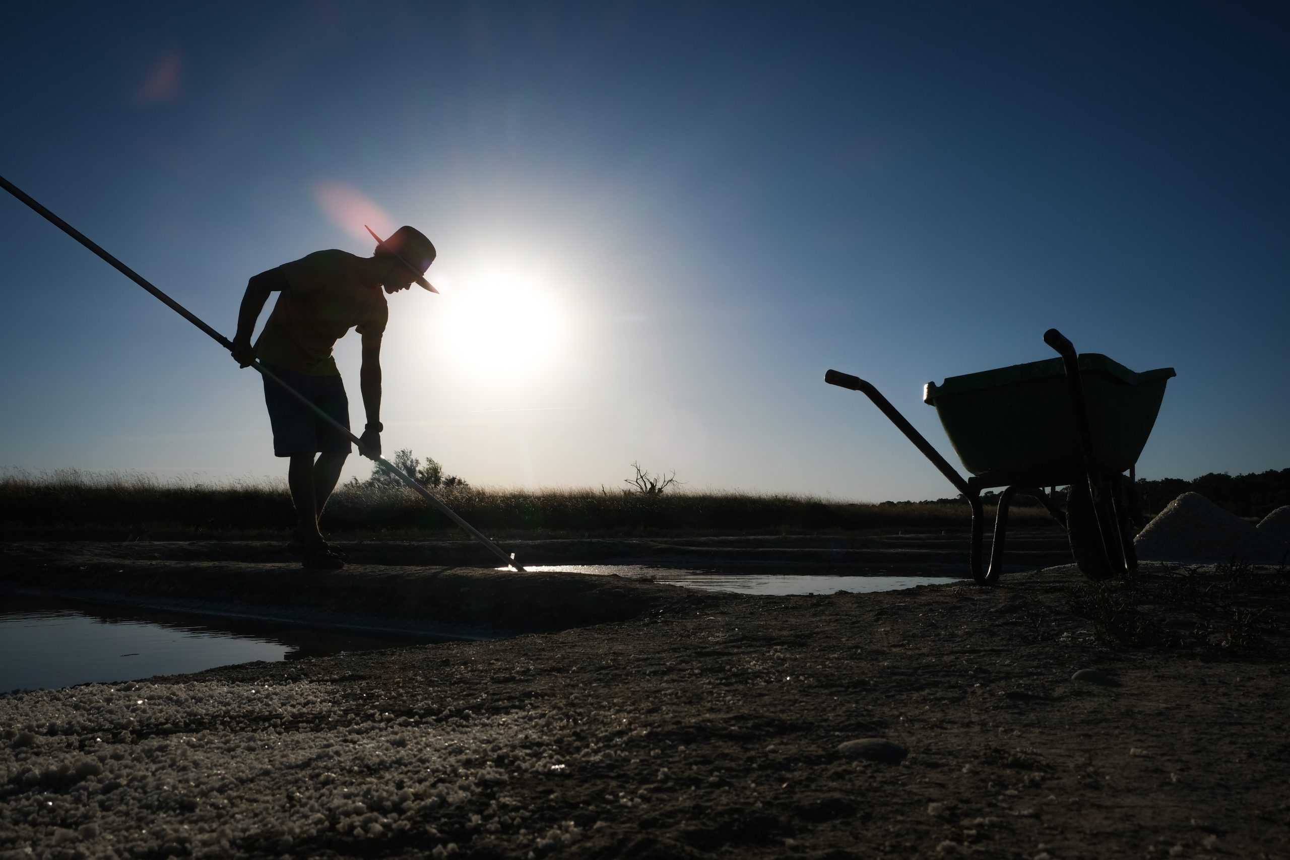 Clément Soulé, de Bec salé, dans son marais salant de Sauzelle, Saint Georges d'Oléron