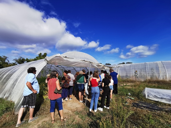 Visite d'une exploitation maraichère, journée ferme ouverte, Ile d'Oléron